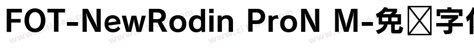 FOT-NewRodin ProN M字体转换